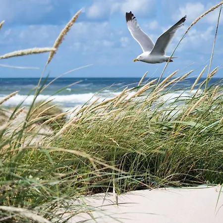 In Duinbergen With Beachfront Views